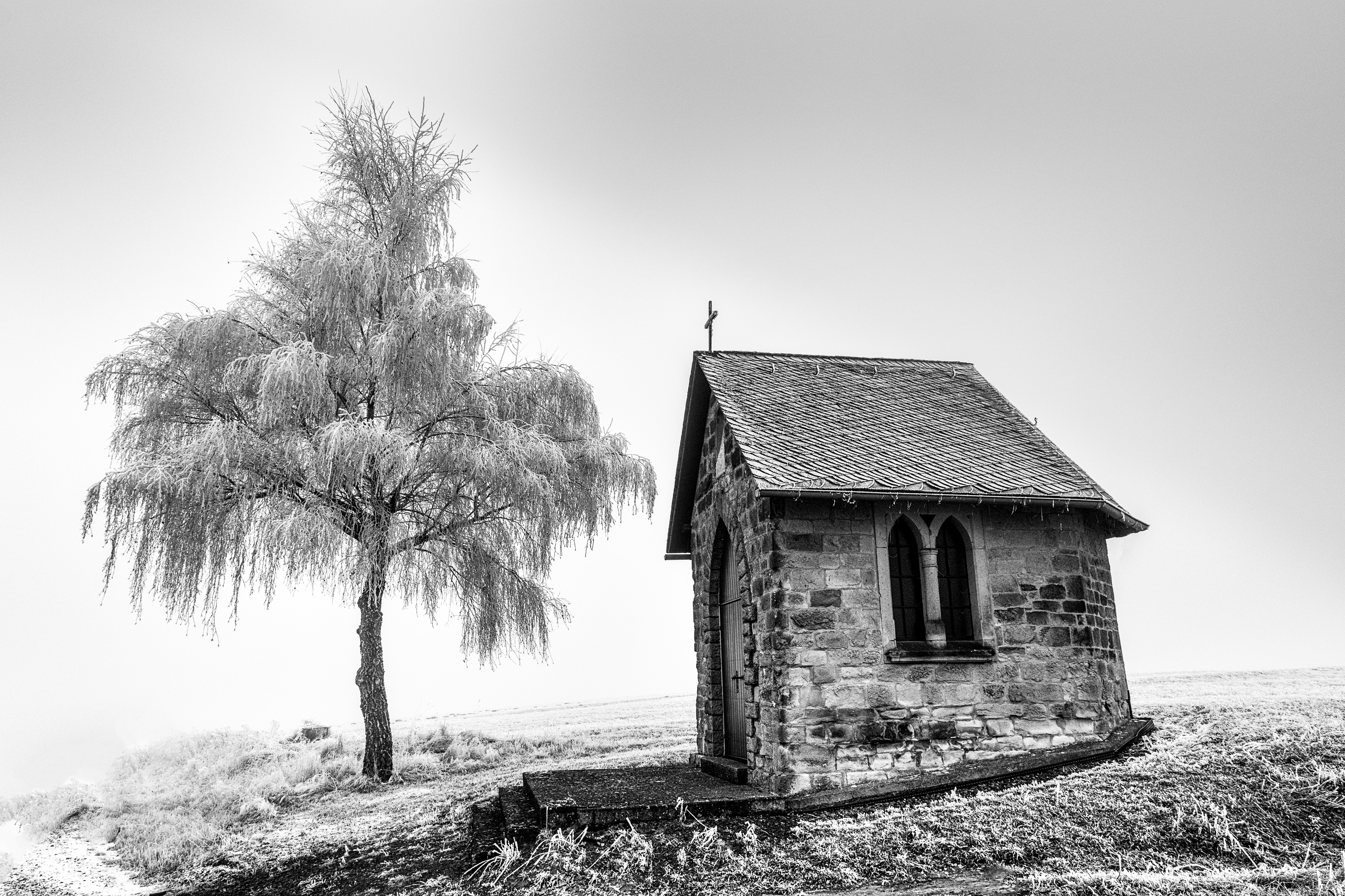 20161206 DSC 2463 Bearbeitet Bearbeitet Bearbeitet