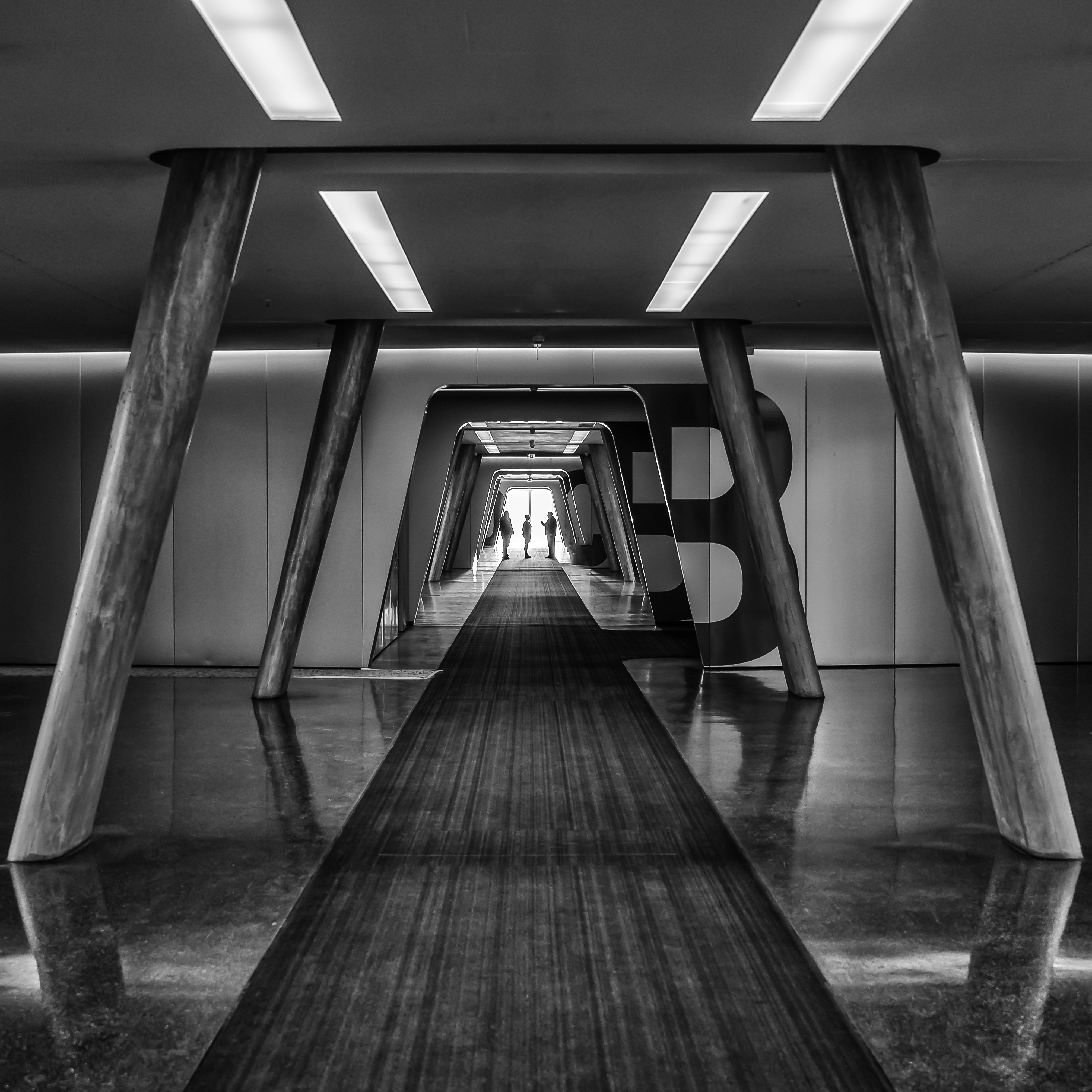 20190119 NZ6 1858 Bearbeitet Bearbeitet Bearbeitet Bearbeitet