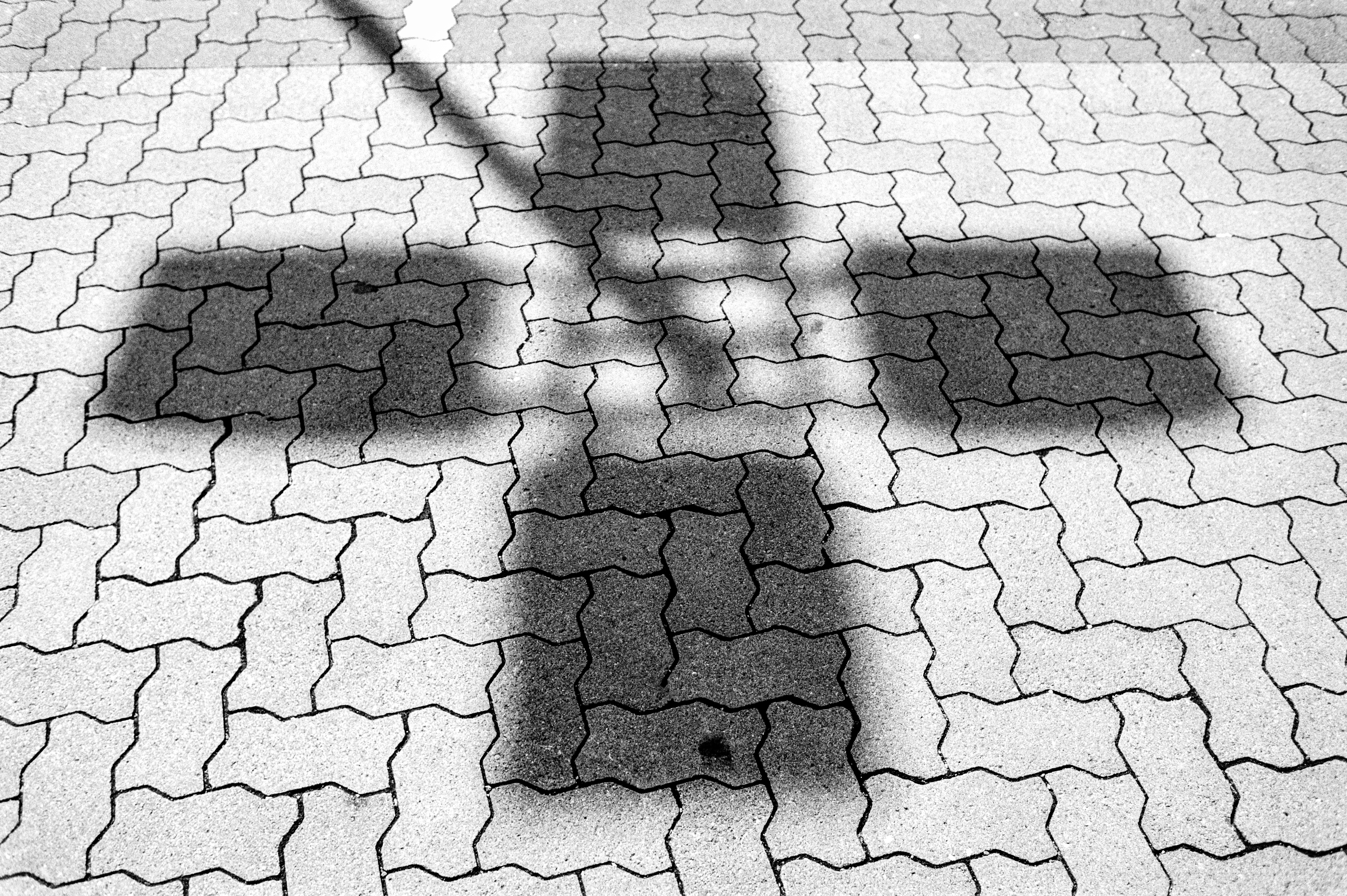 20220718 DSC 9076 Bearbeitet