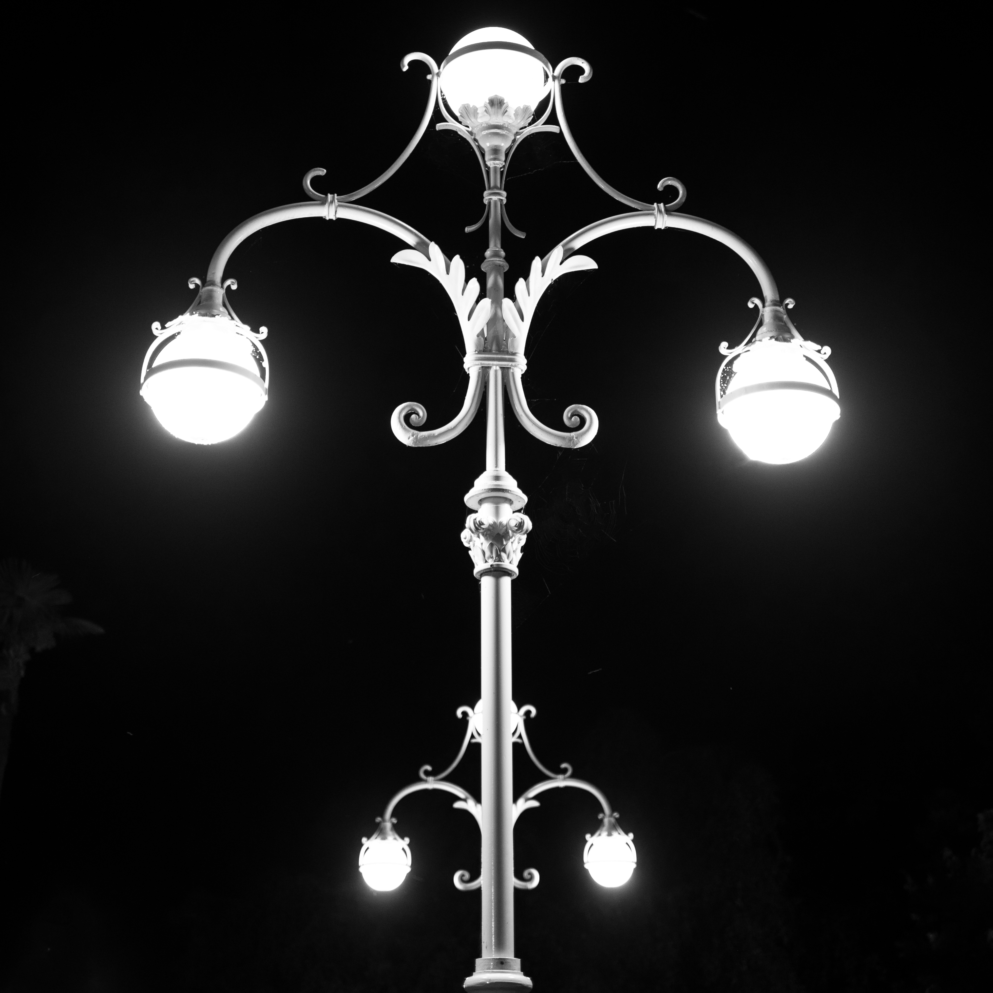 20220809 DSC 9609 Bearbeitet