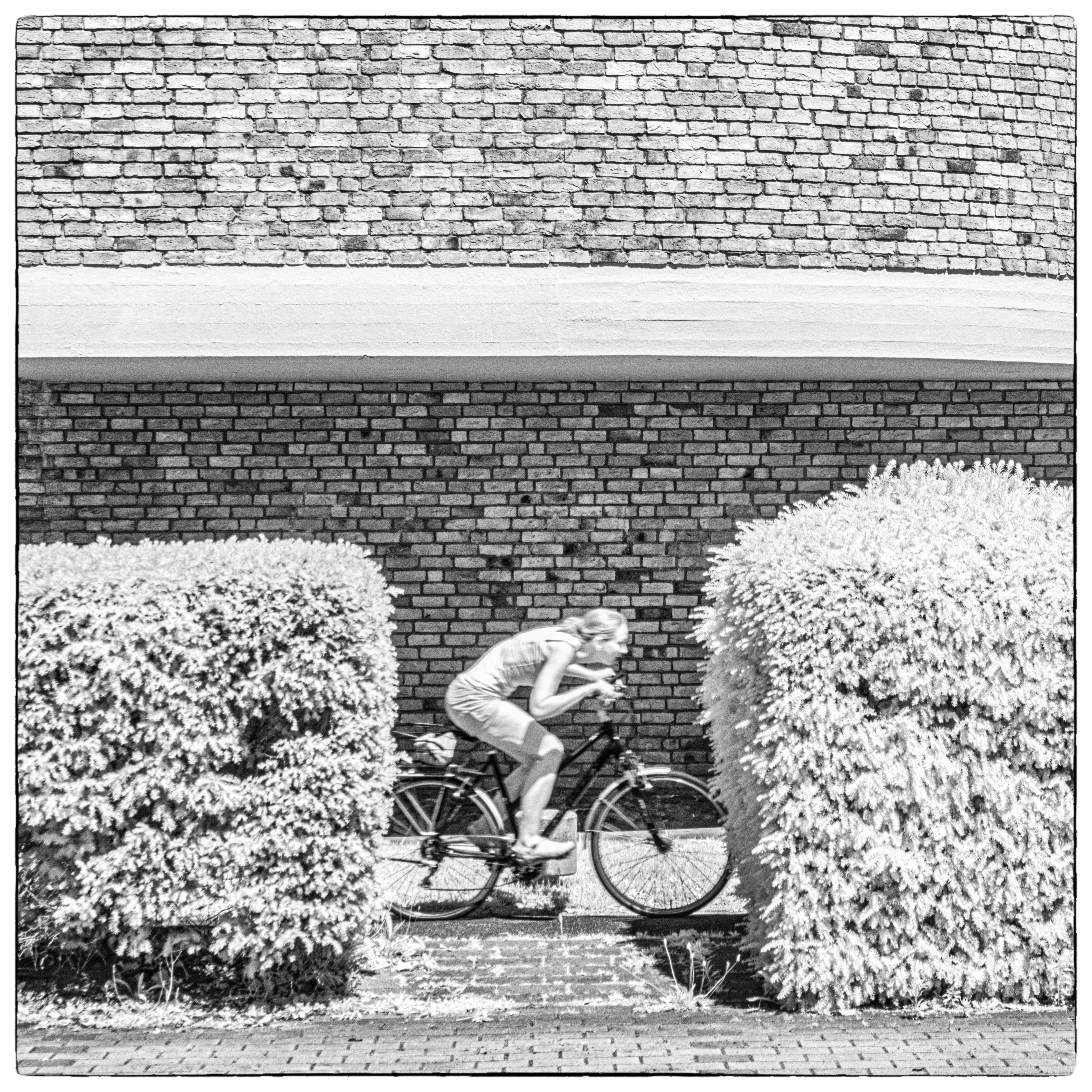 20230618 DSC 0078 Bearbeitet Bearbeitet Bearbeitet