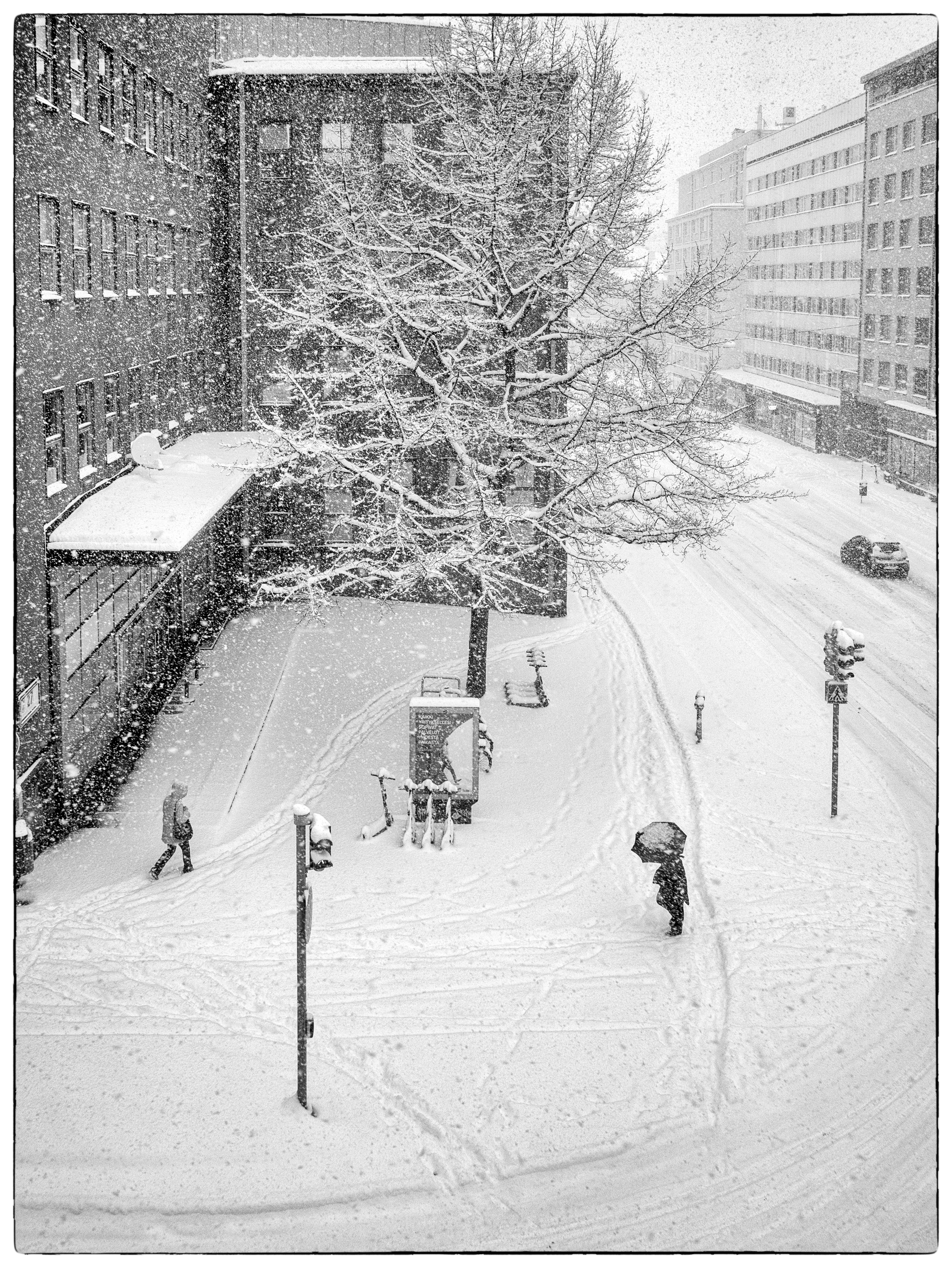 20240423 P1020516 Bearbeitet