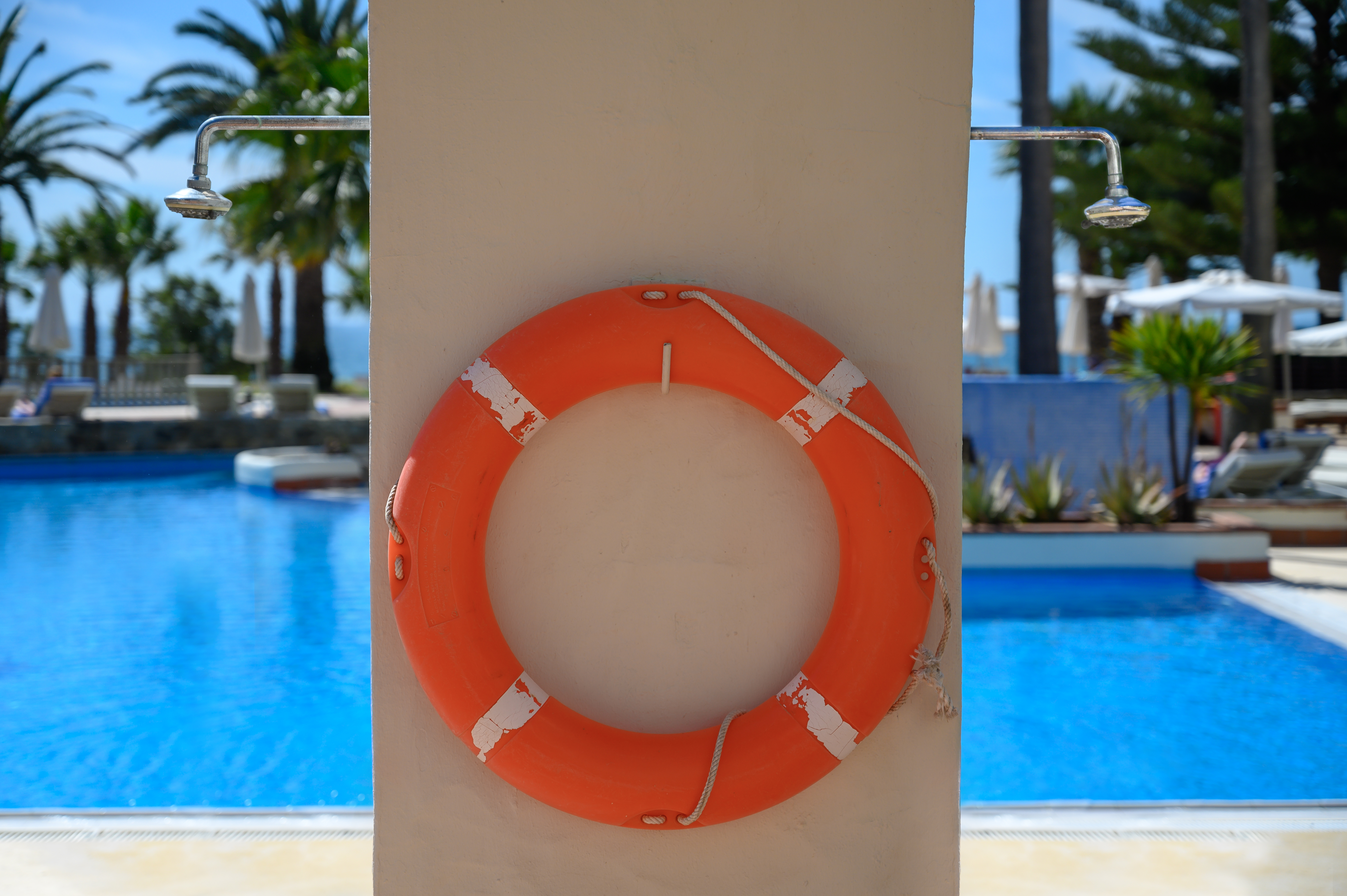 NZ6 4686 Bearbeitet 3